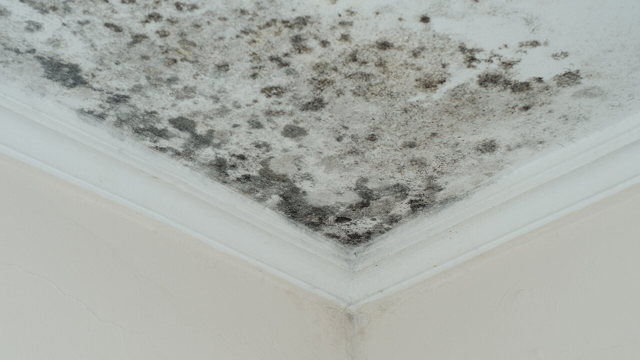 Schimmelbefall an der Decke bei Kondensatbildung.